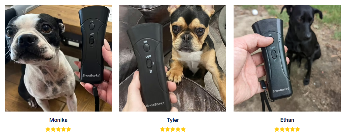 BrooBark Dog Training Device Customer Review