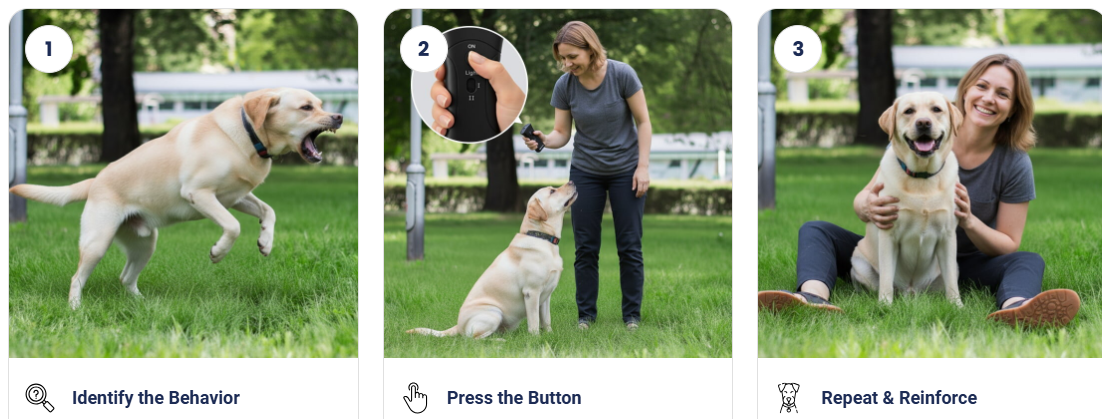 BrooBark Dog Training Device How to use