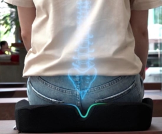 Coushy Seat Cushion-Ergonomic Support