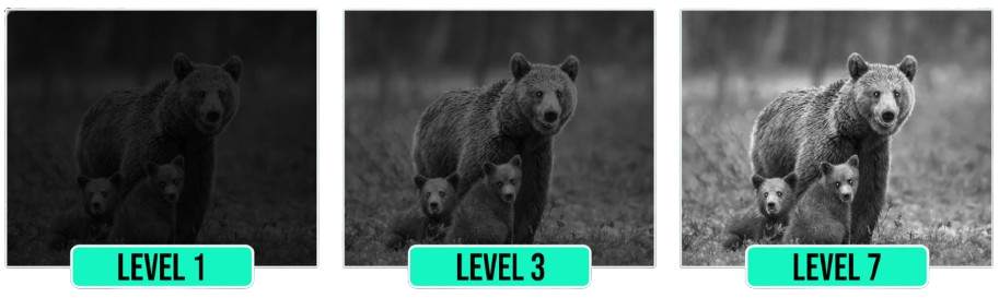 Dark Force Night Vision Benefits