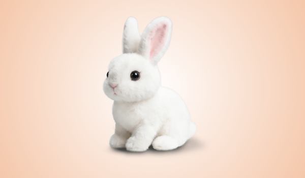 Hoppsy Robot Bunny Reviews